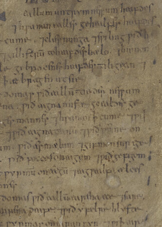 This manuscript is an example of one I was struggling with. The ink is very faded but the handwriting is mostly tidy. There are sections where the ink is unreadably faded though and whole words are missing.