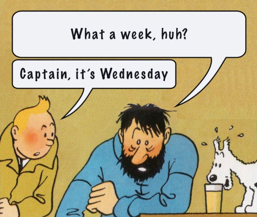 The panel from a Tintin comic in which Captain Haddock, looking frazzled, says 'What a week, huh?' to which Tintin replies, 'Captain, it's Wednesday.' Snowy also looks very excited about the unregarded beer in front of him. Tintin is likely to have a very drunk dog in a few panels.